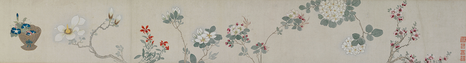 Flowers, Fruits, Vegetables and Insects